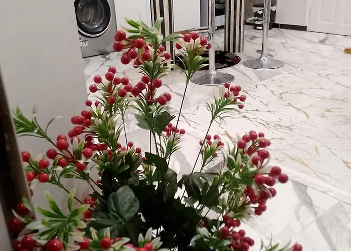 For Rent Appartamento